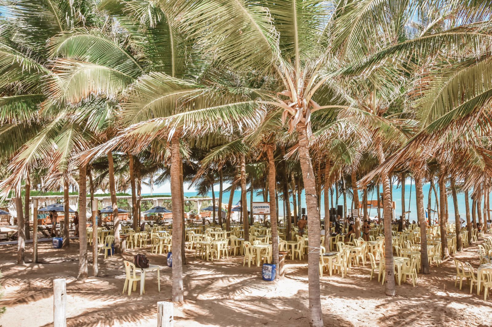 Strandbar unter Kokospalmen
